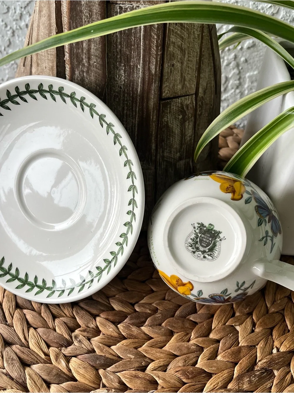 Portmeirion Botanic Garden cup and saucer SET Cytisus Scoparius / Broom